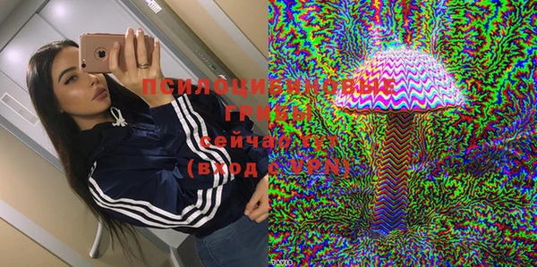 гидра Липки