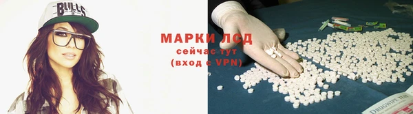 гидра Липки