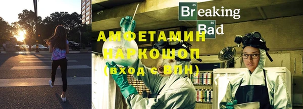 гидра Липки