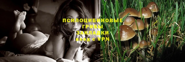 соль ск Лиски