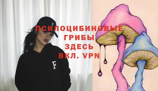 соль ск Лиски