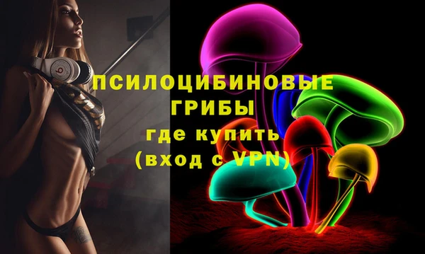 гидра Лихославль