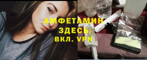 гидра Липки