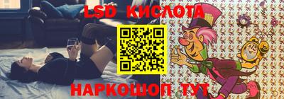прущие грибы Волжск