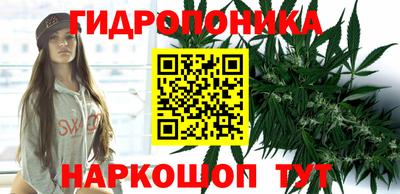 хмурый Бийск