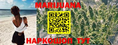 трава Берёзовский