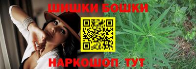 хмурый Бийск