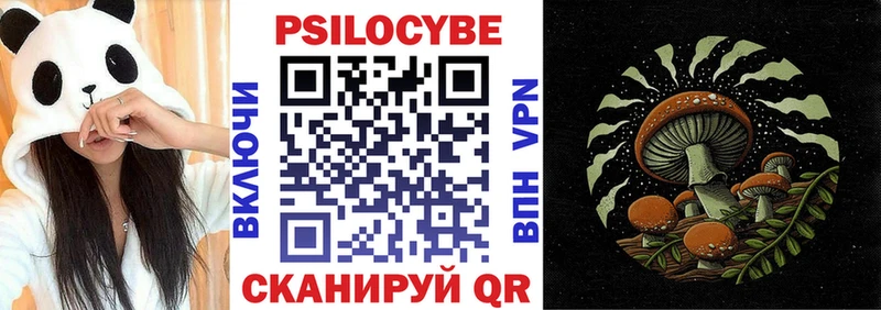 Псилоцибиновые грибы GOLDEN TEACHER  Долгопрудный 