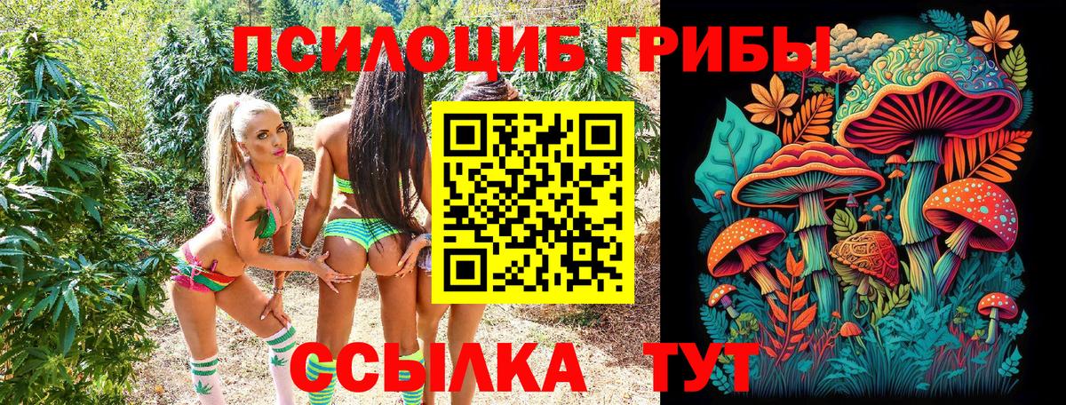 Псилоцибиновые грибы прущие грибы  Вход с VPN  Долгопрудный  Галлюциногенные грибы Magic Shrooms 