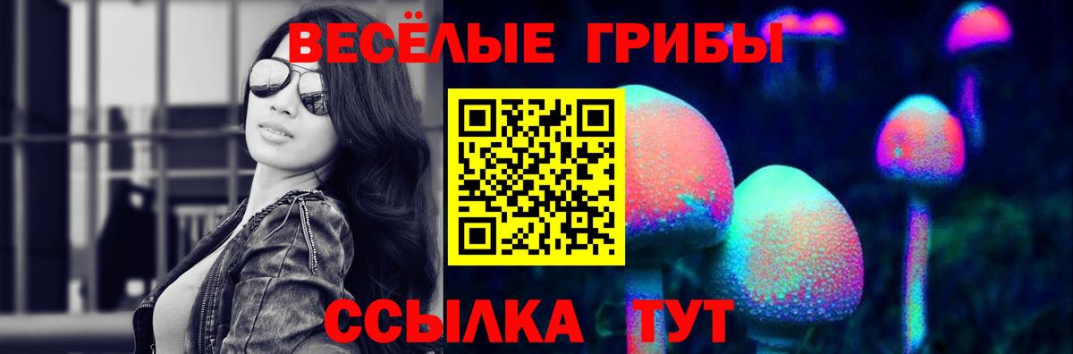 Галлюциногенные грибы Psilocybe Долгопрудный