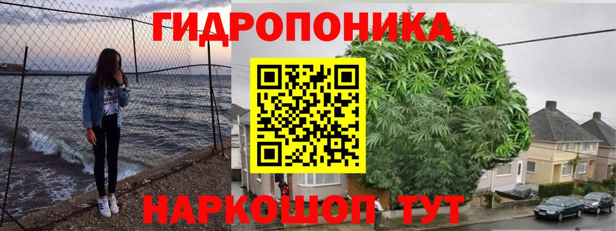 Шишки марихуана LSD WEED  Марихуана White Widow  Канабис план  Долгопрудный  Вход с VPN 